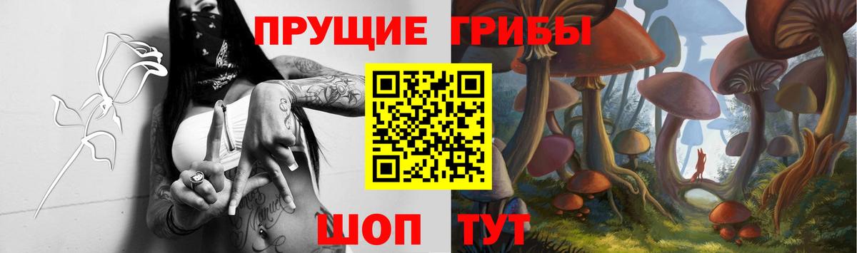 Галлюциногенные грибы ЛСД Рязань